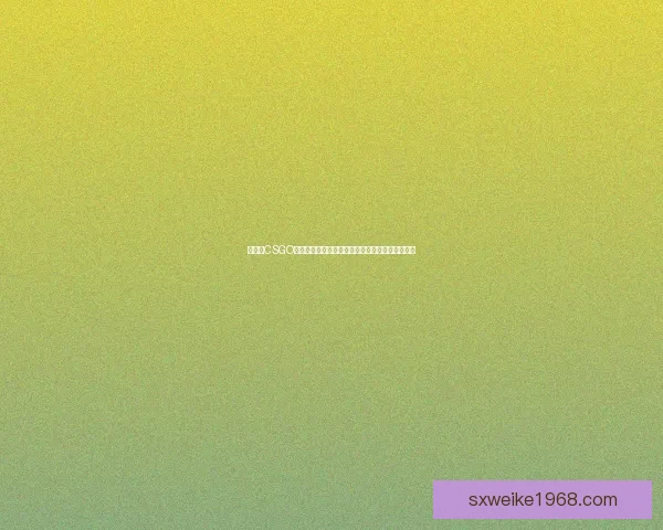 俄罗斯CSGO账号购买网站推荐安全可靠的交易平台和优质服务