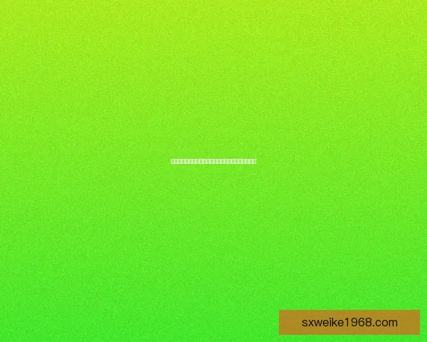 逍遥独行客全景网带你领略世界风光探索无限精彩旅程