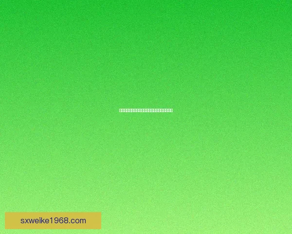 九阴真经中职业选择解析及各职业优劣势分析指南