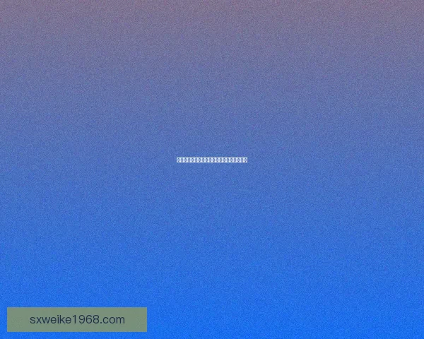 代理巡逻队长徽章的象征意义与历史渊源解析